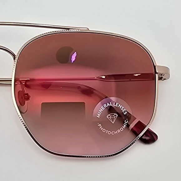 Etnia Barcelona Pilsen Gold Frame Photochromic Pink Flash Aviaitor Sunglasses